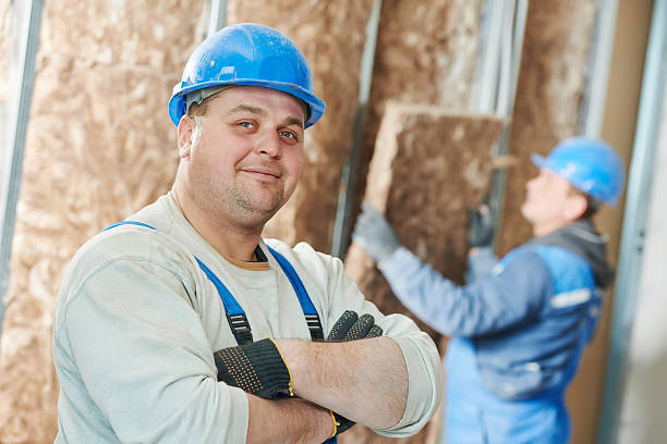 Best Eco-Friendly Insulation in Paulsboro, NJ